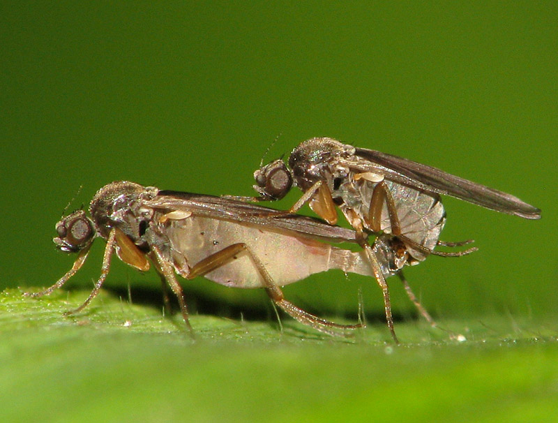 Bild Nr.16040 zum Vergrößern klicken Bild Nr.16040