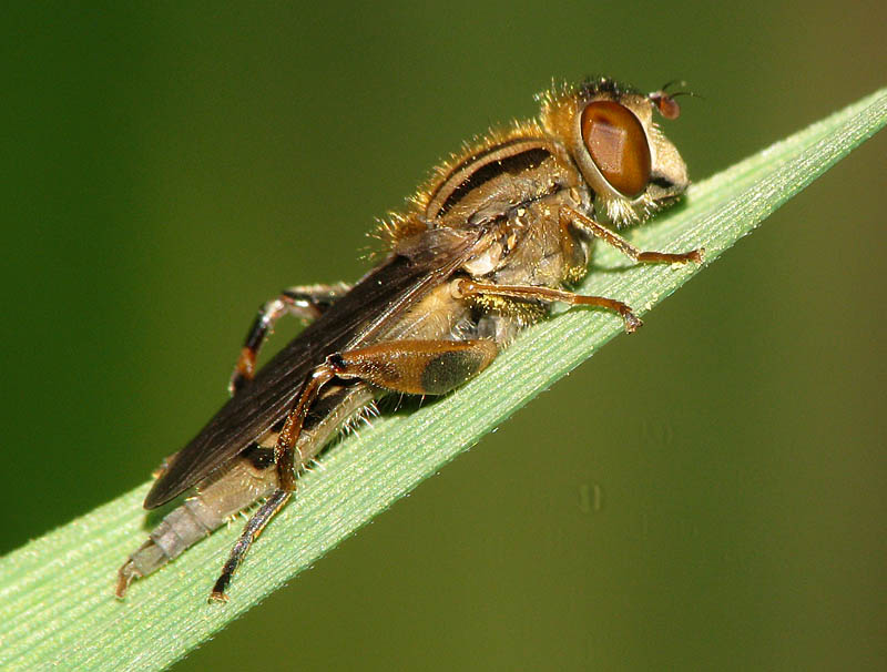 Bild Nr.21260 zum Vergrößern klicken Bild Nr.21260