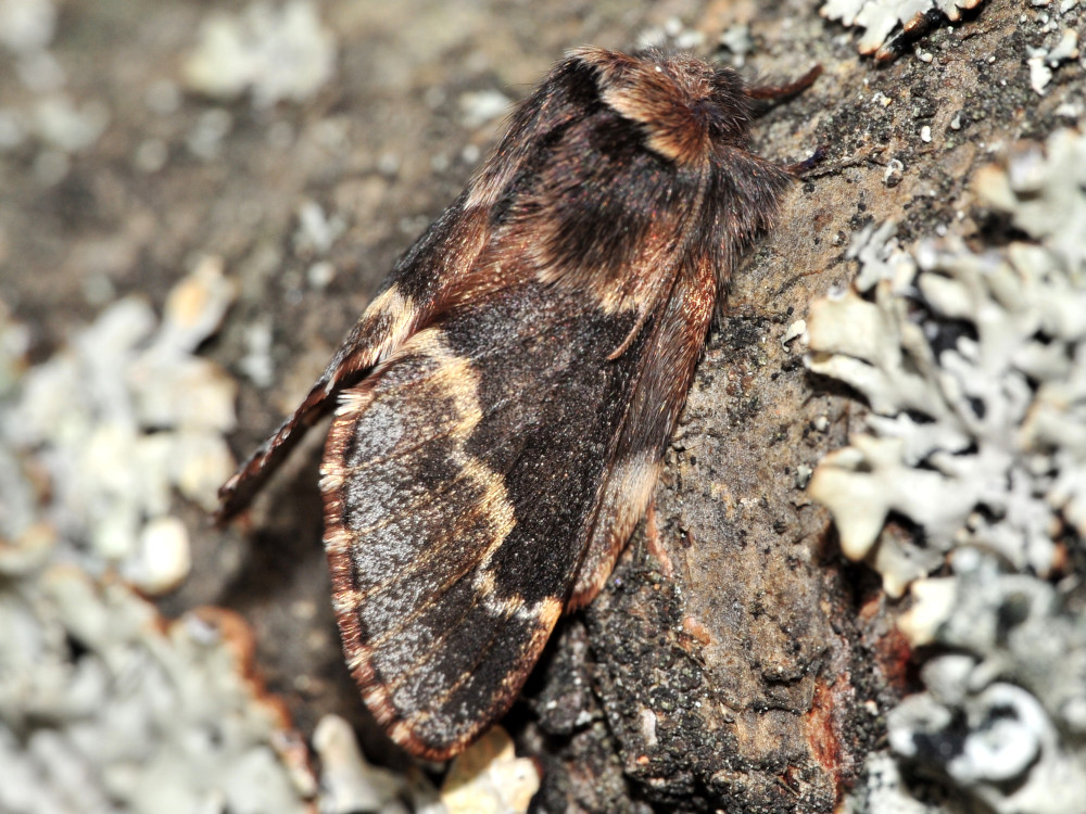 Bild Nr.06728 zum Vergrößern klicken Bild Nr.06728