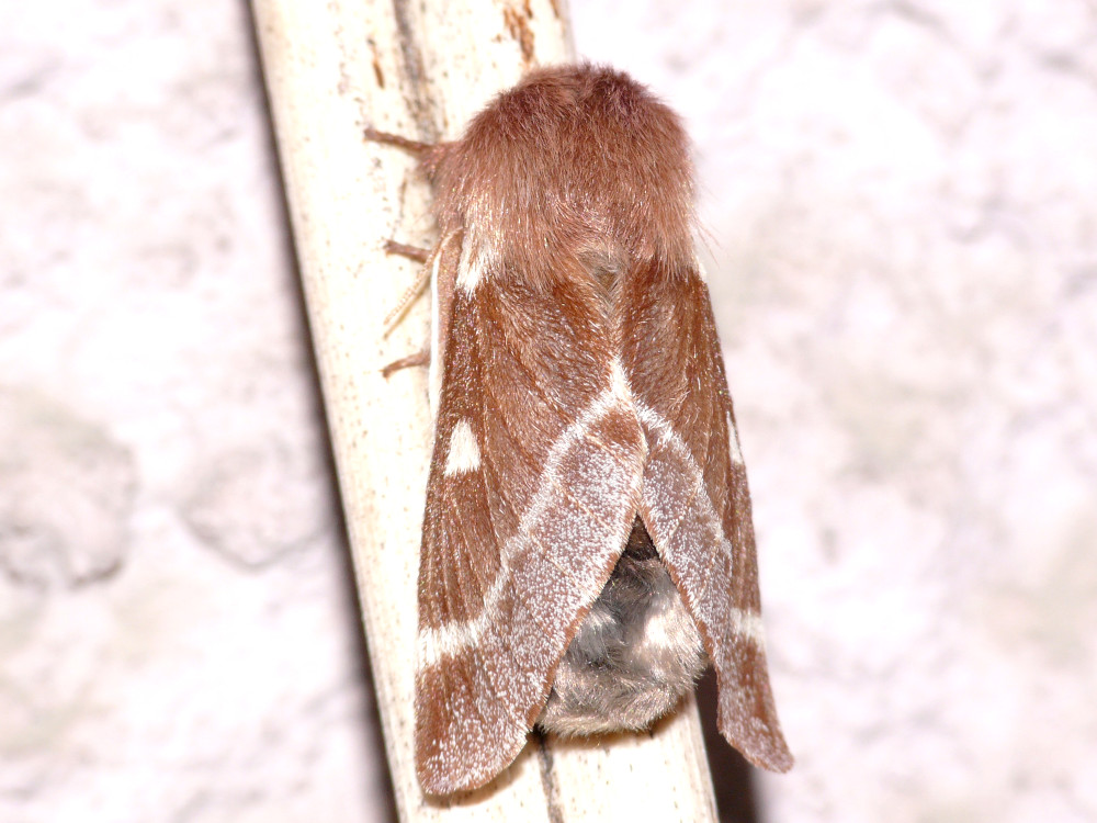 Bild Nr.06738 zum Vergrößern klicken Bild Nr.06738