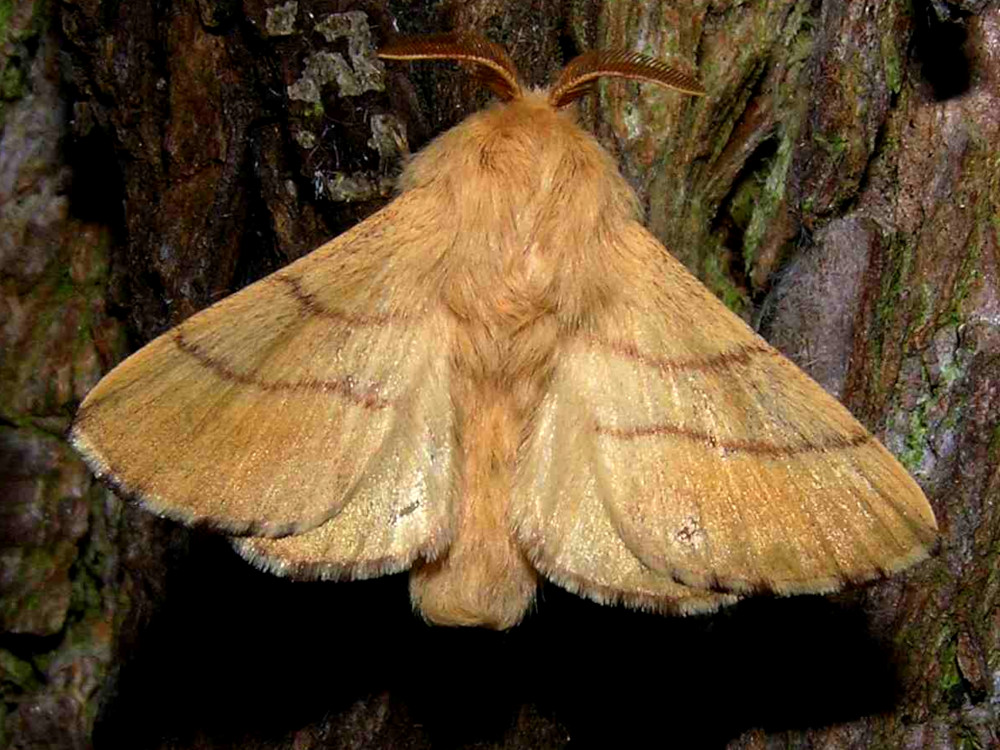 Bild Nr.06743 zum Vergrößern klicken Bild Nr.06743