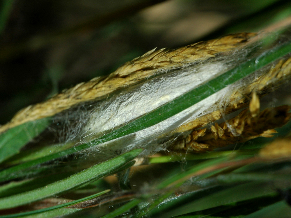 Bild Nr.06744 zum Vergrößern klicken Bild Nr.06744