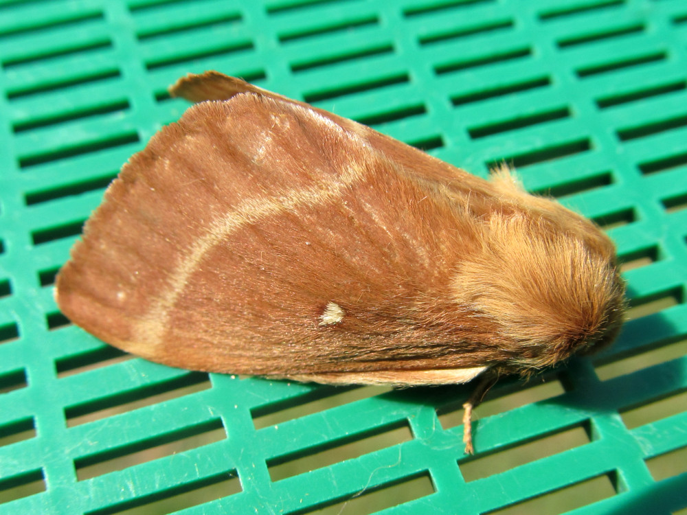 Bild Nr.06749 zum Vergrößern klicken Bild Nr.06749