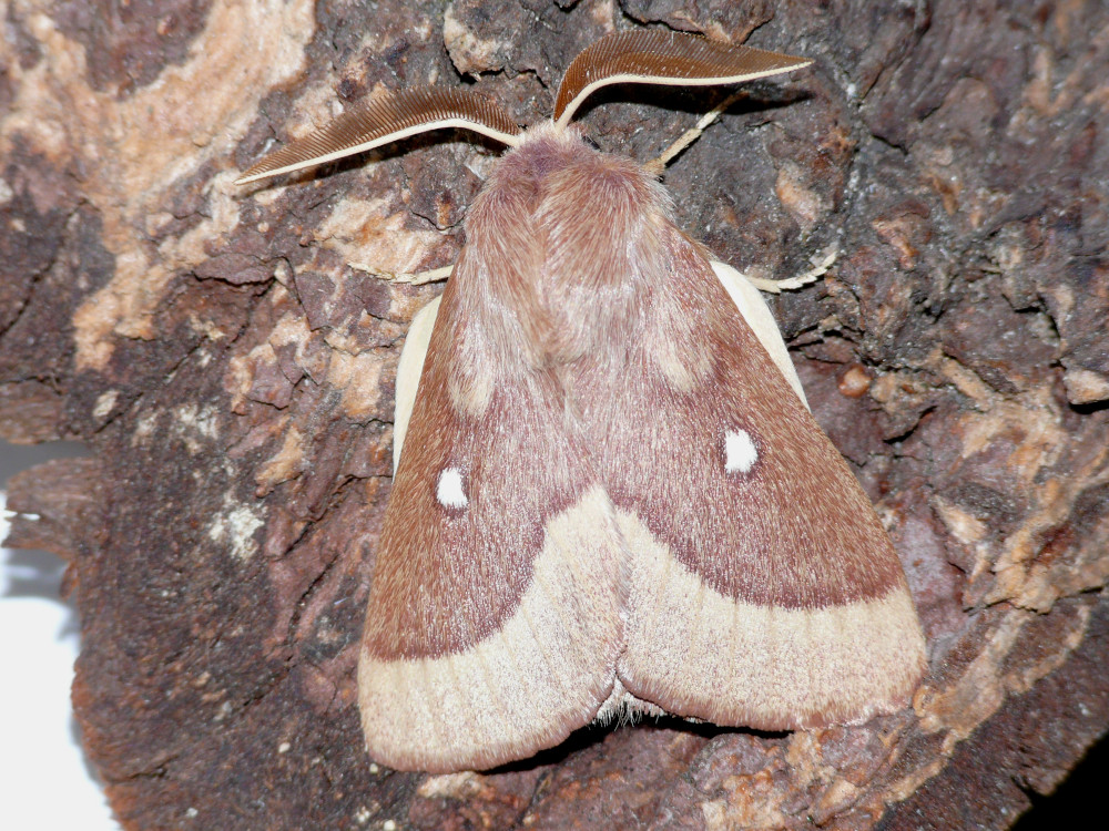 Bild Nr.06749 zum Vergrößern klicken Bild Nr.06749