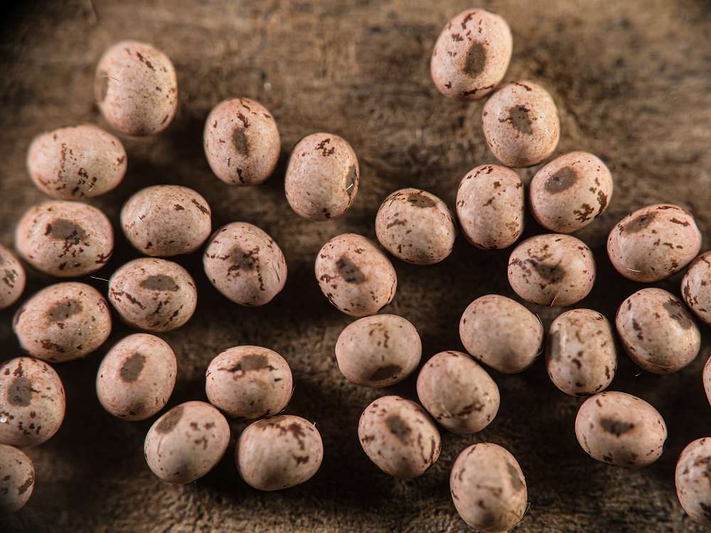 Bild Nr.06749 zum Vergrößern klicken Bild Nr.06749