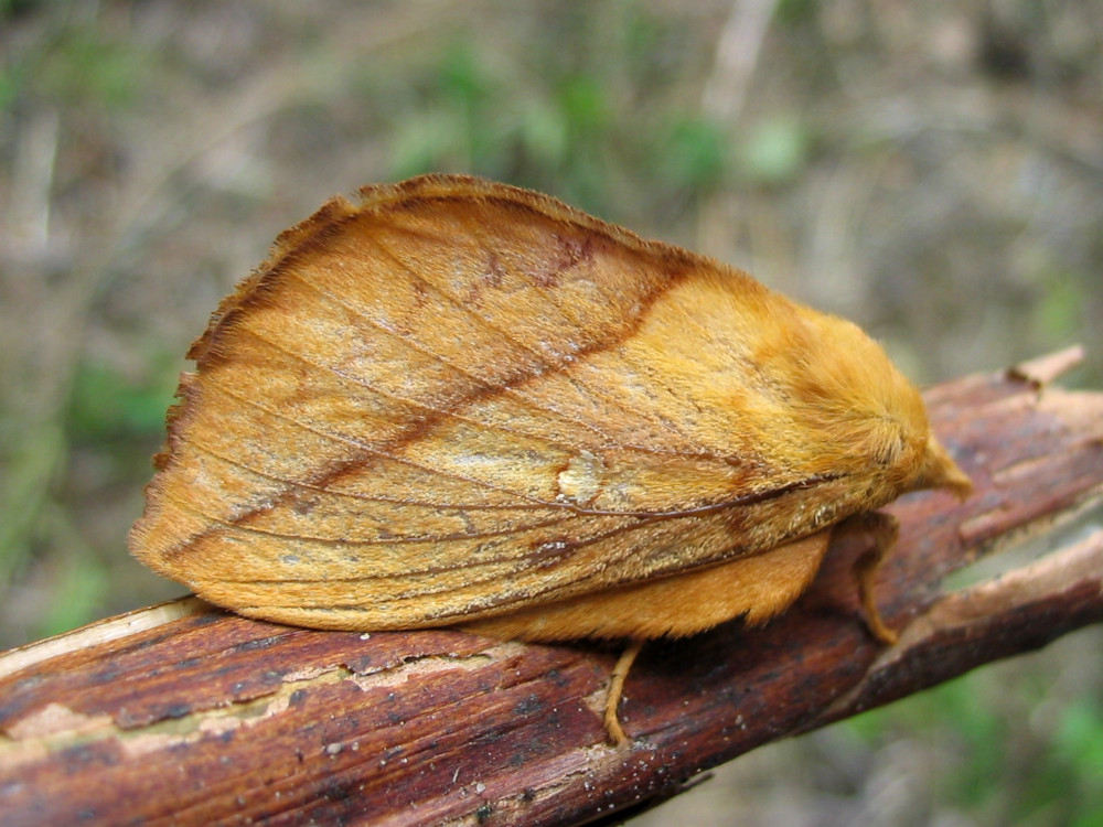 Bild Nr.06767 zum Vergrößern klicken Bild Nr.06767