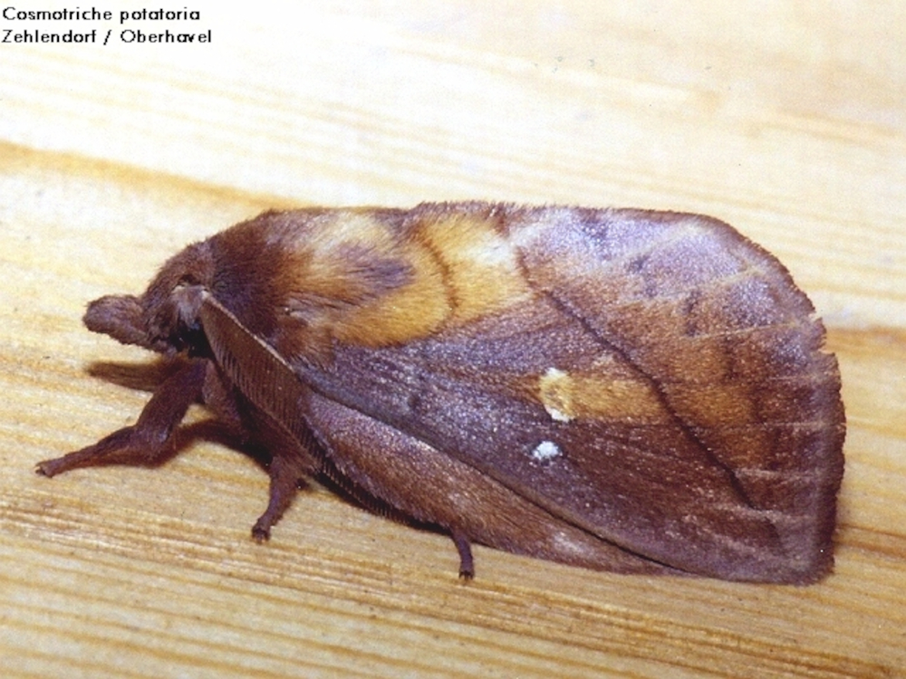 Bild Nr.06767 zum Vergrößern klicken Bild Nr.06767