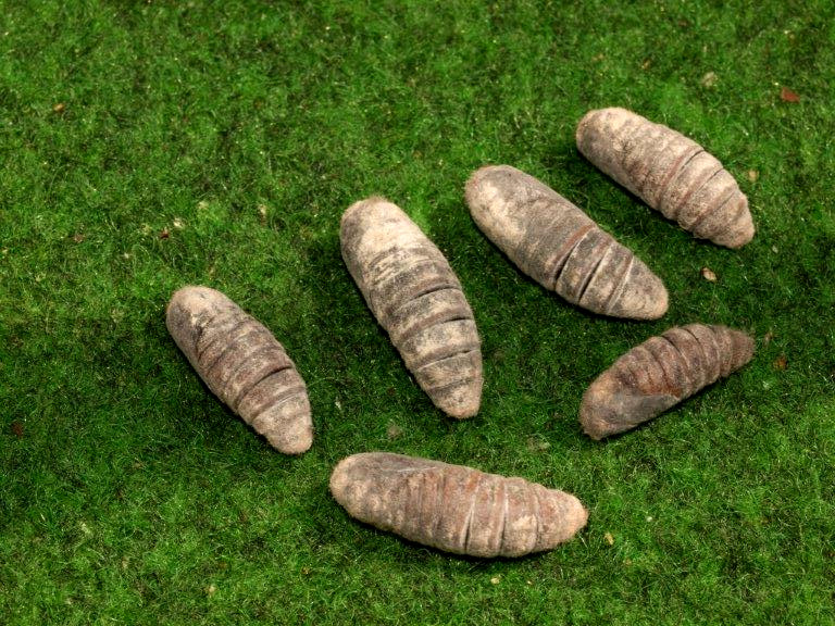 Bild Nr.06777 zum Vergrößern klicken Bild Nr.06777