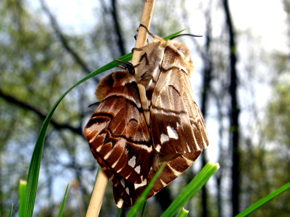 Bild Nr.06784 zum Vergrößern klicken Bild Nr.06784