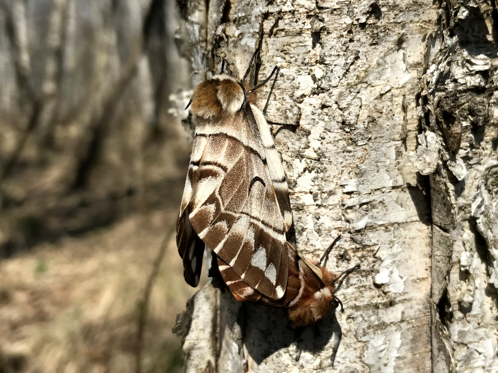 Bild Nr.06784 zum Vergrößern klicken Bild Nr.06784