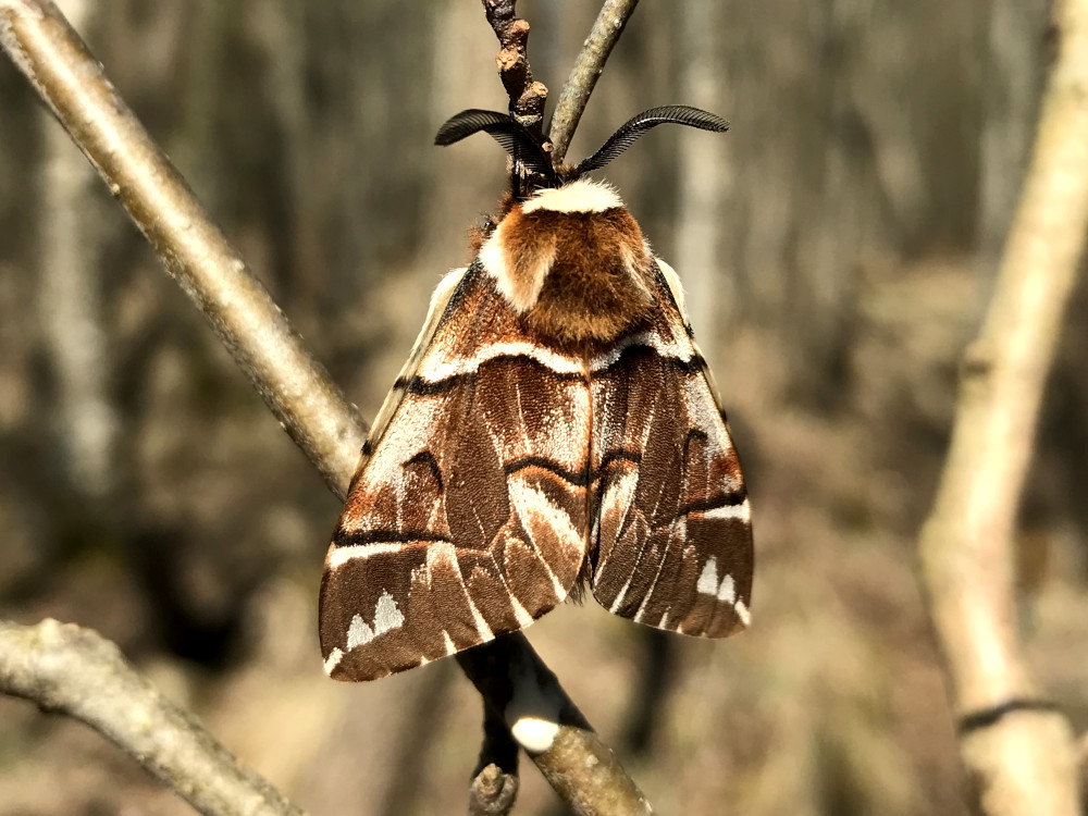 Bild Nr.06784 zum Vergrößern klicken Bild Nr.06784