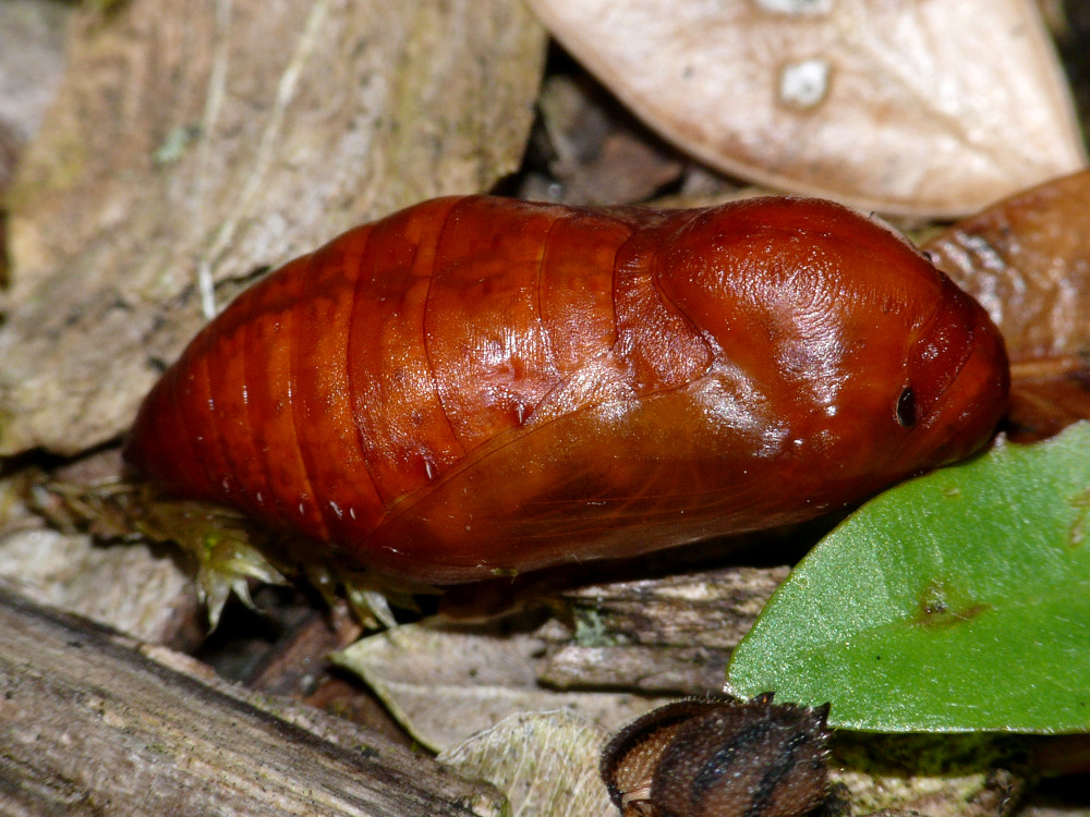 Bild Nr.07447 zum Vergrößern klicken Bild Nr.07447