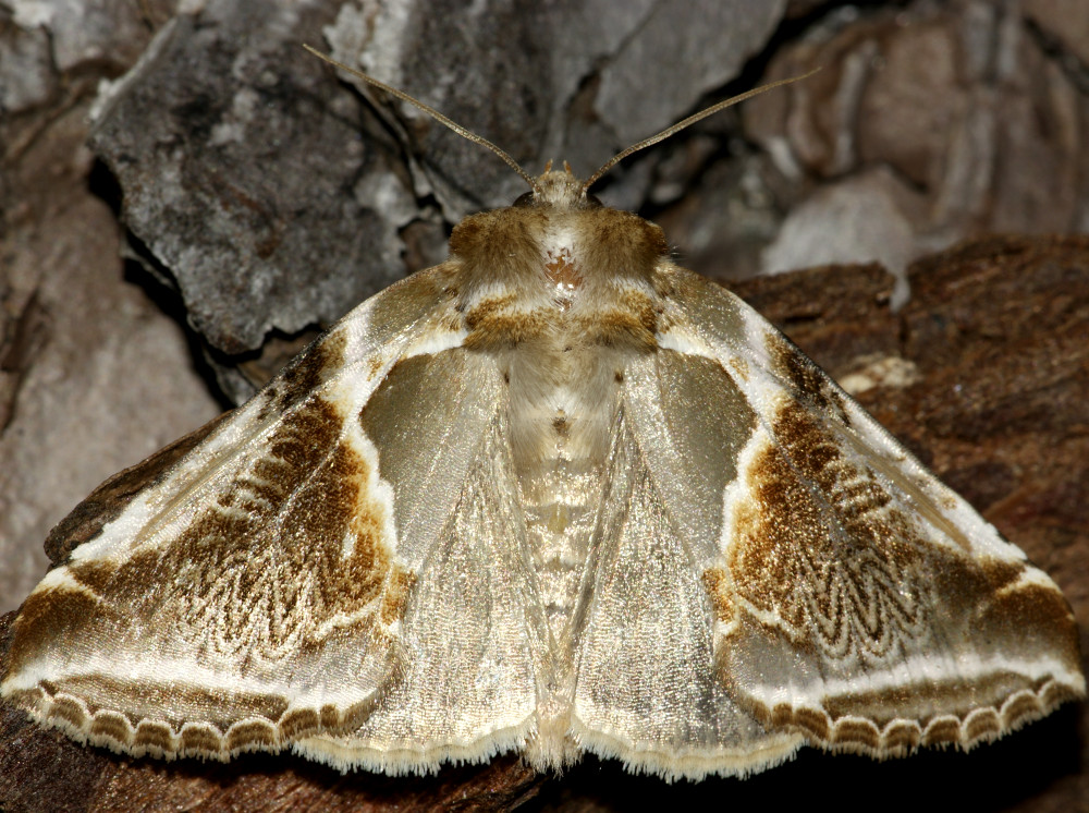 Bild Nr.07483 zum Vergrößern klicken Bild Nr.07483