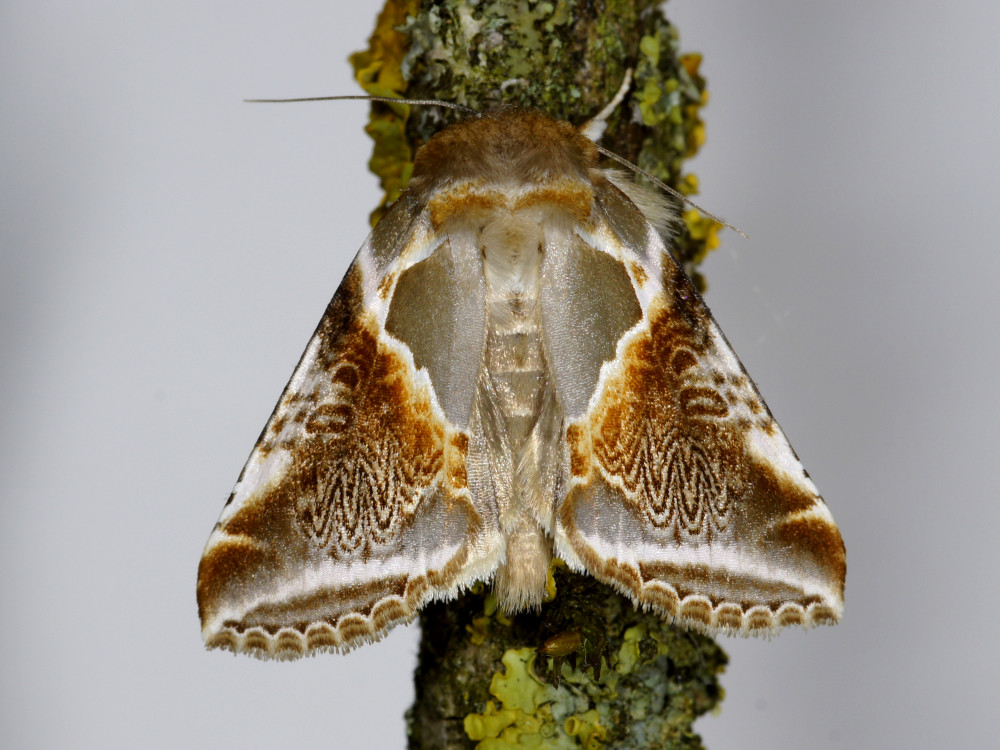 Bild Nr.07483 zum Vergrößern klicken Bild Nr.07483