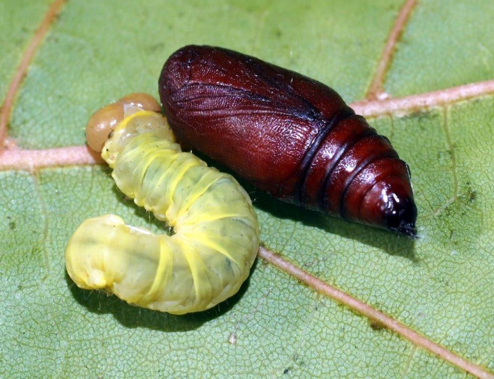 Bild Nr.07486 zum Vergrößern klicken Bild Nr.07486