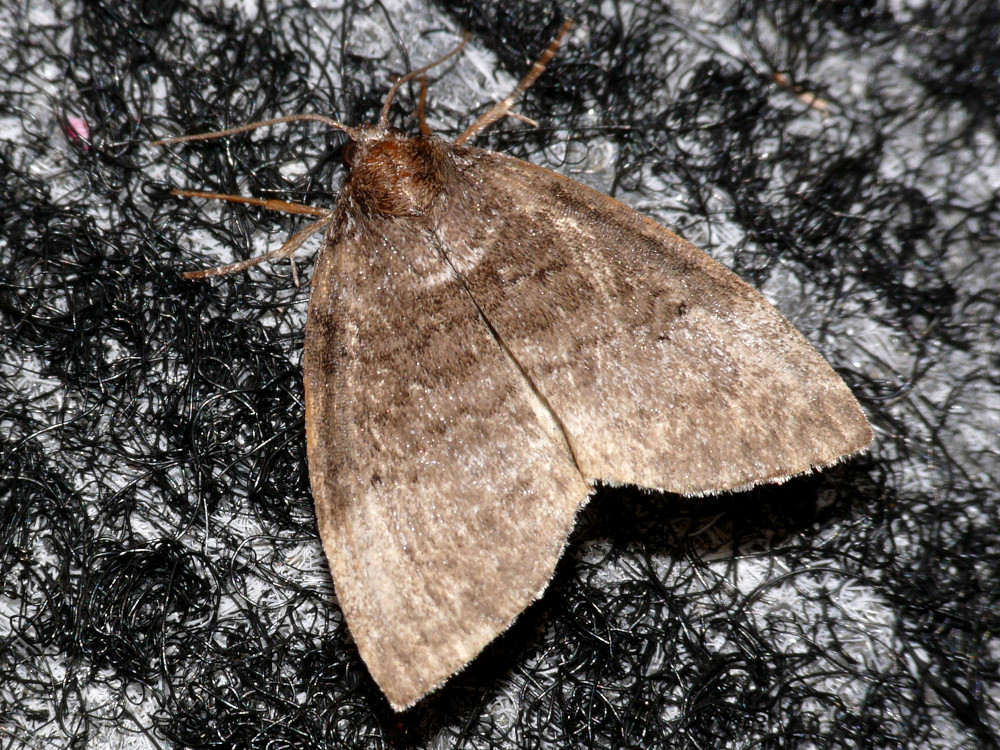 Bild Nr.07490 zum Vergrößern klicken Bild Nr.07490