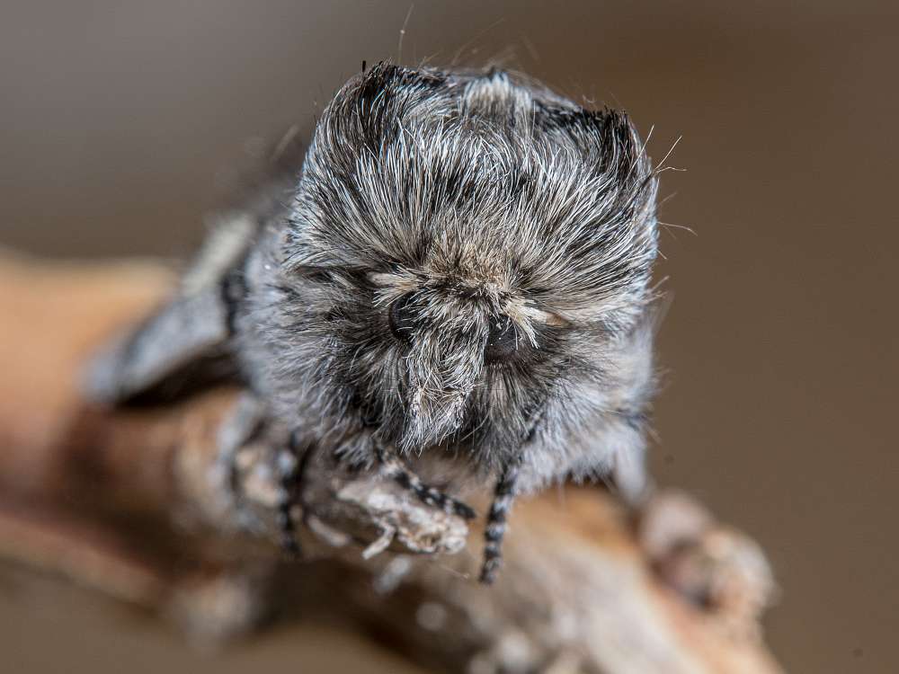 Bild Nr.07498 zum Vergrößern klicken Bild Nr.07498