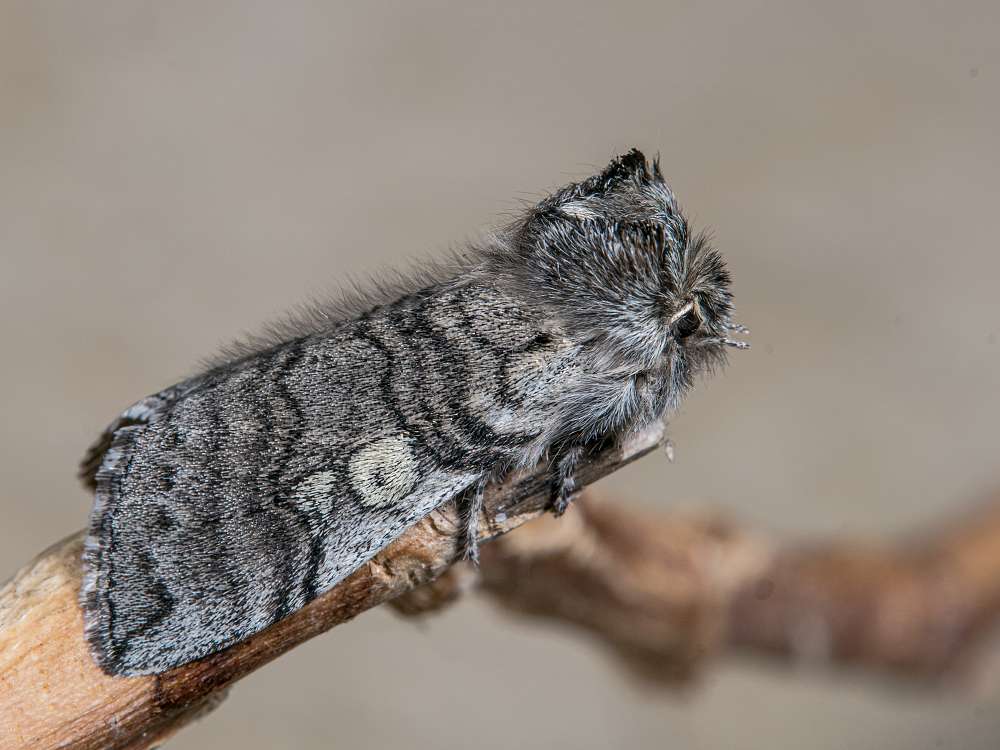 Bild Nr.07498 zum Vergrößern klicken Bild Nr.07498