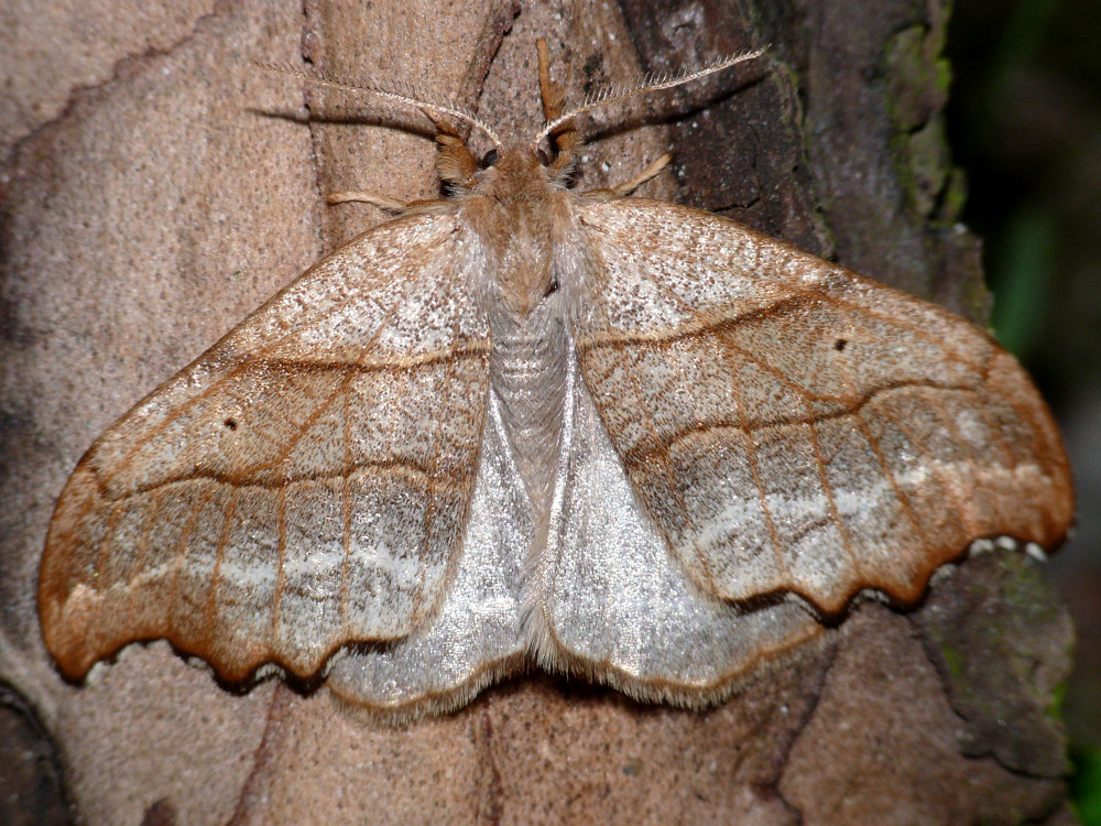 Bild Nr.07501 zum Vergrößern klicken Bild Nr.07501