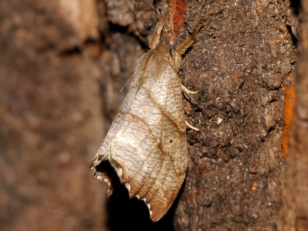 Bild Nr.07501 zum Vergrößern klicken Bild Nr.07501