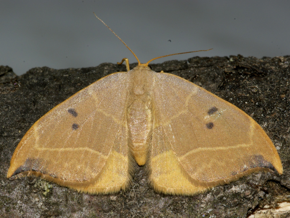 Bild Nr.07503 zum Vergrößern klicken Bild Nr.07503