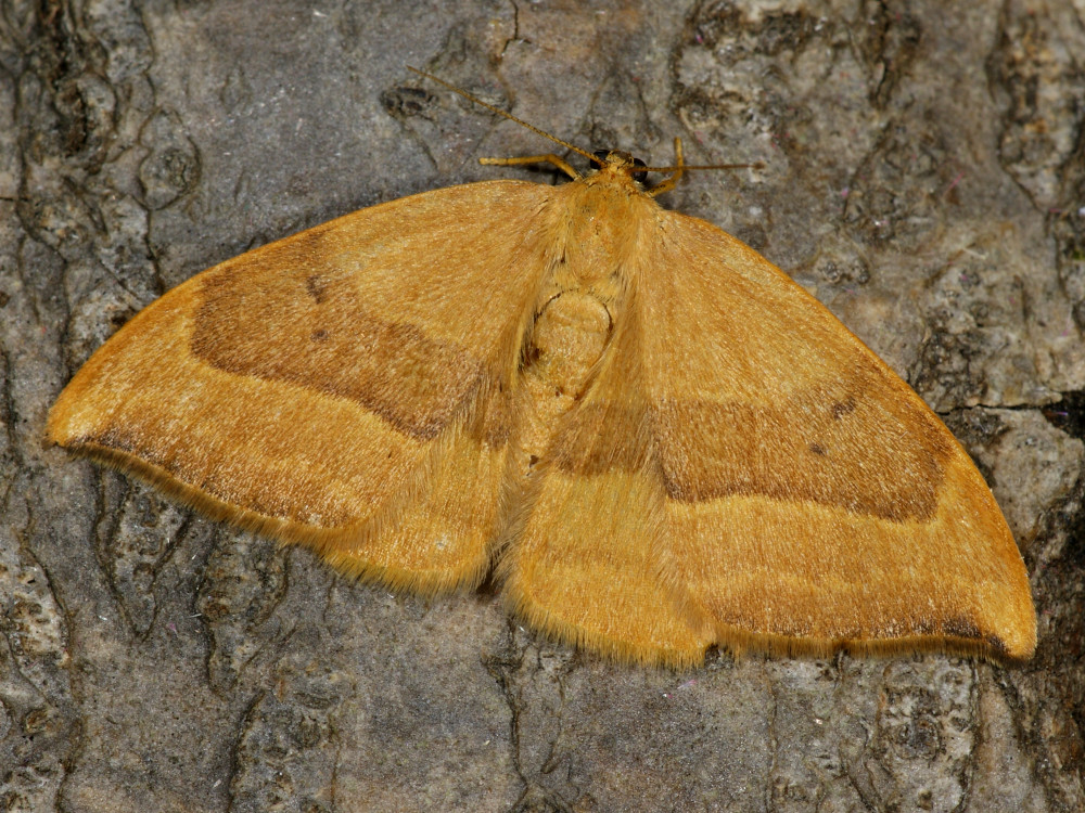 Bild Nr.07505 zum Vergrößern klicken Bild Nr.07505