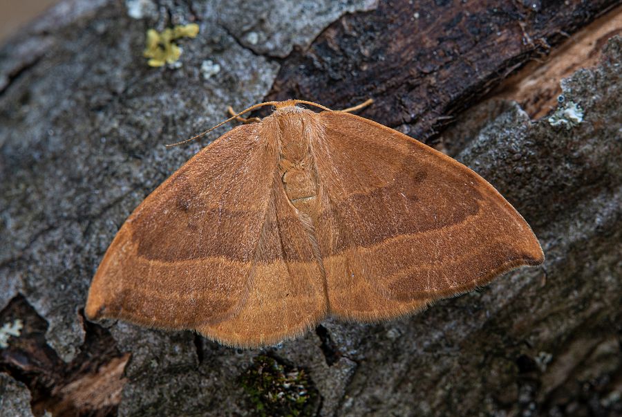 Bild Nr.07505 zum Vergrößern klicken Bild Nr.07505