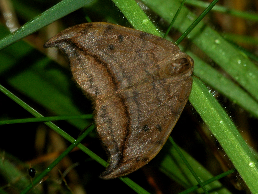 Bild Nr.07507 zum Vergrößern klicken Bild Nr.07507