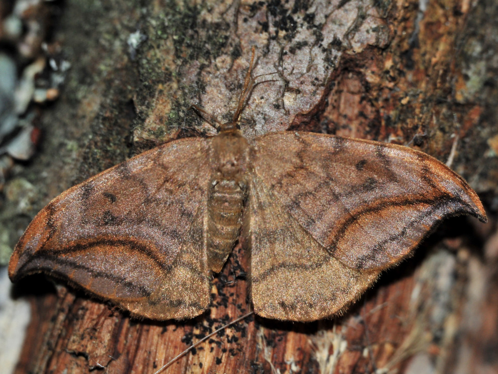 Bild Nr.07507 zum Vergrößern klicken Bild Nr.07507