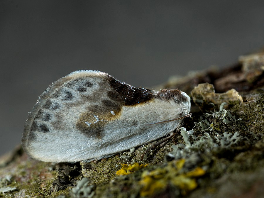 Bild Nr.07512 zum Vergrößern klicken Bild Nr.07512