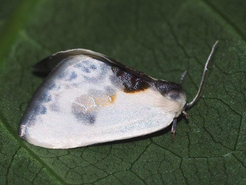 Bild Nr.07512 zum Vergrößern klicken Bild Nr.07512