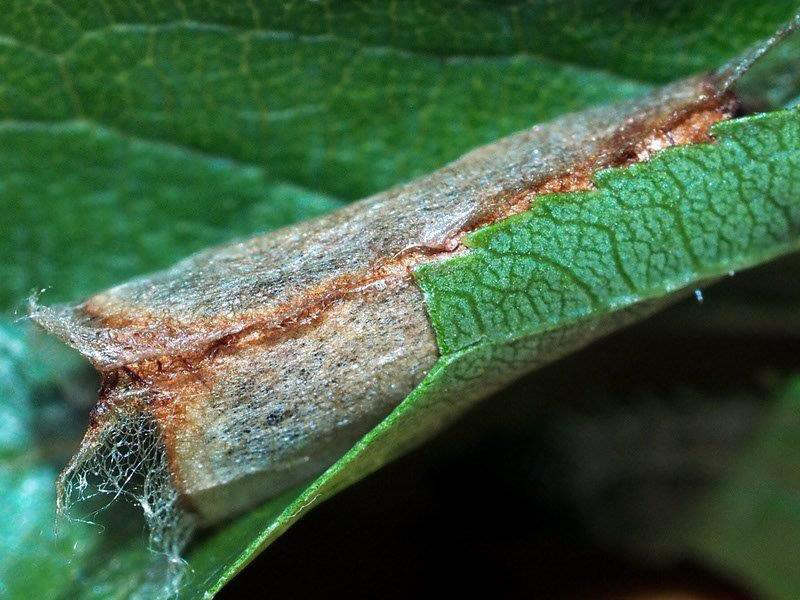 Bild Nr.07512 zum Vergrößern klicken Bild Nr.07512