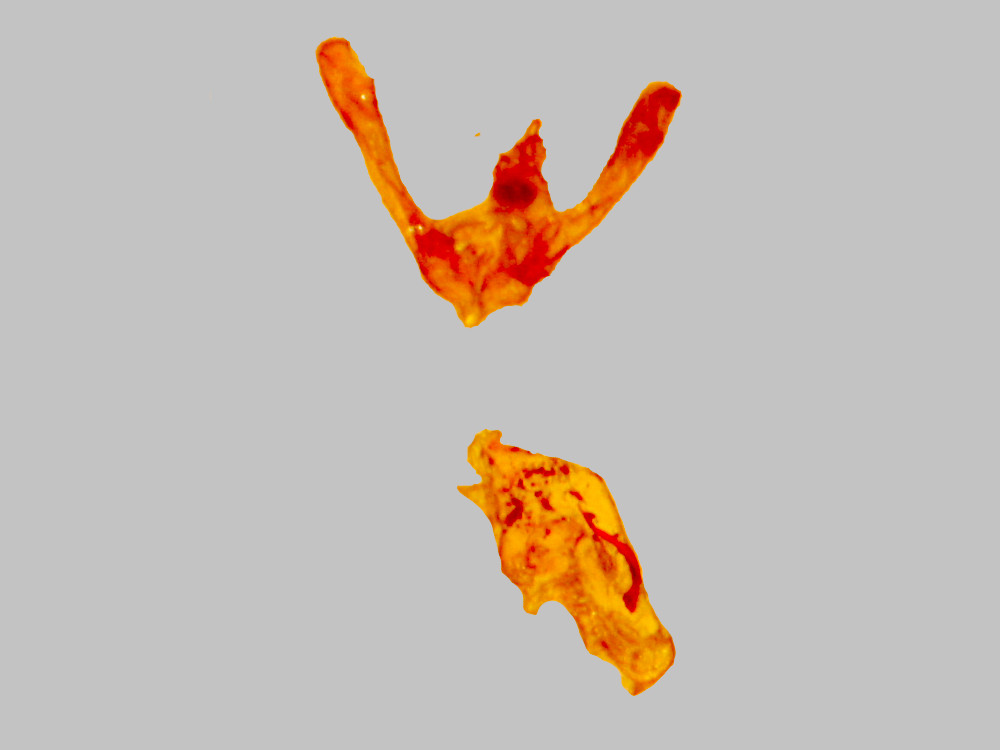 Bild Nr.08107 zum Vergrößern klicken Bild Nr.08107