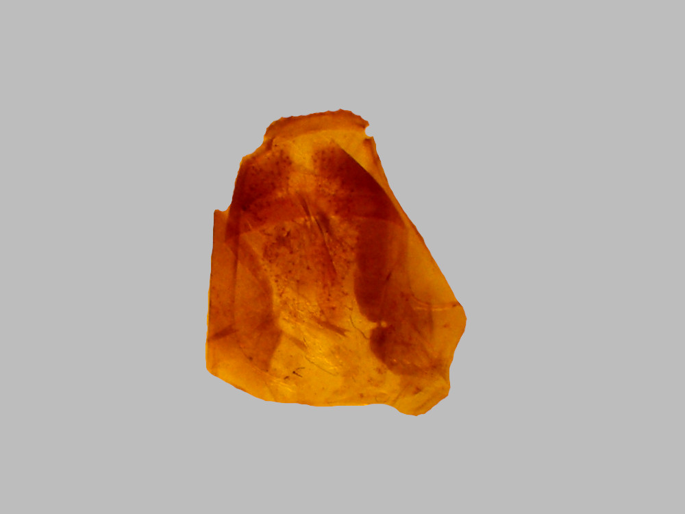 Bild Nr.08699 zum Vergrößern klicken Bild Nr.08699