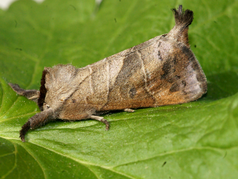 Bild Nr.08701 zum Vergrößern klicken Bild Nr.08701