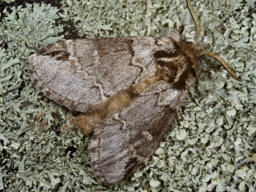 Bild Nr.08723 zum Vergrößern klicken Bild Nr.08723