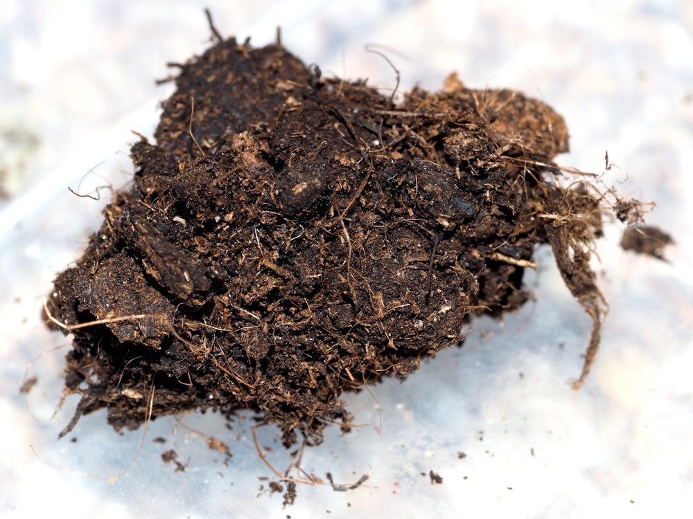 Bild Nr.08738 zum Vergrößern klicken Bild Nr.08738