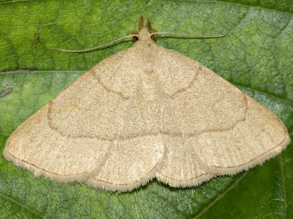 Bild Nr.08839 zum Vergrößern klicken Bild Nr.08839