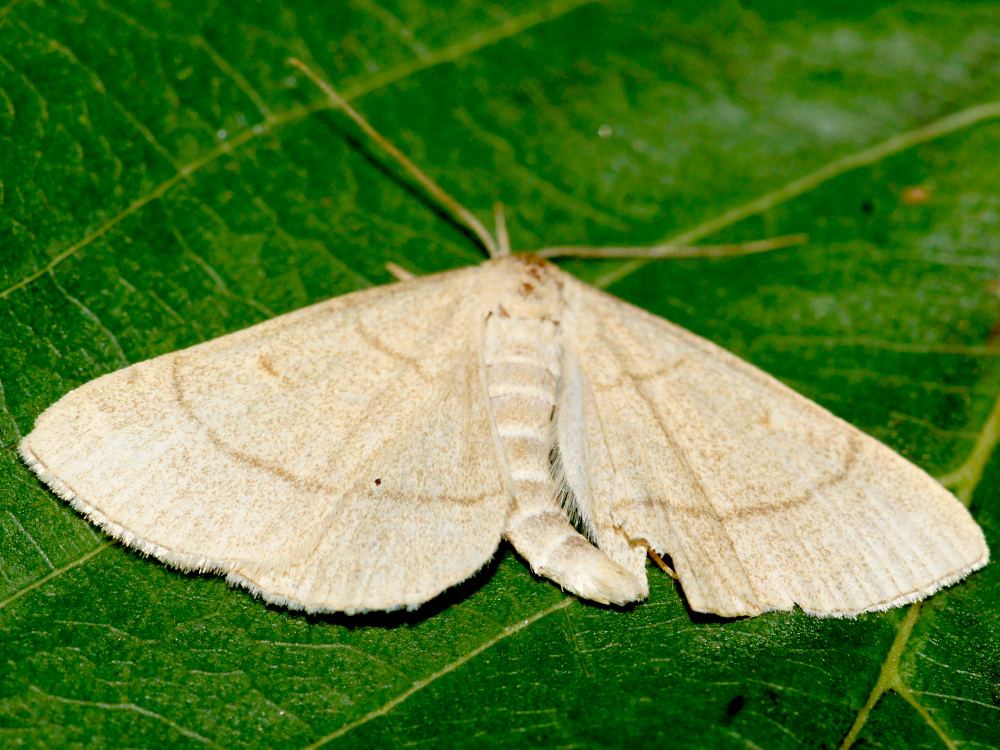 Bild Nr.08839 zum Vergrößern klicken Bild Nr.08839