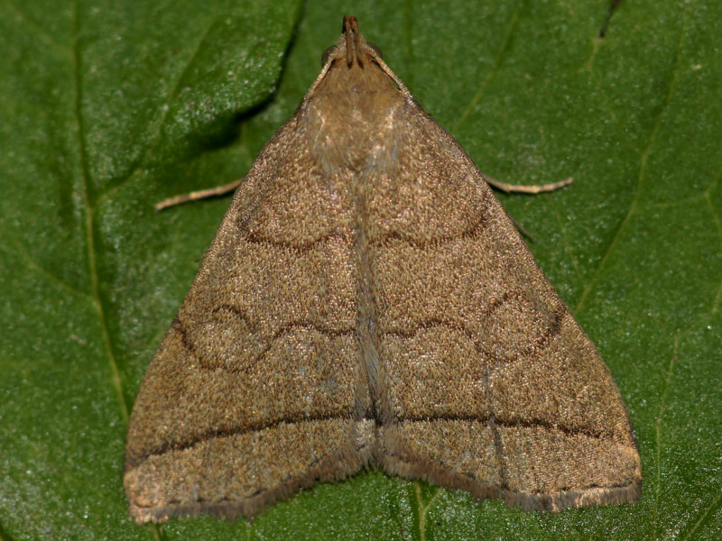 Bild Nr.08858 zum Vergrößern klicken Bild Nr.08858