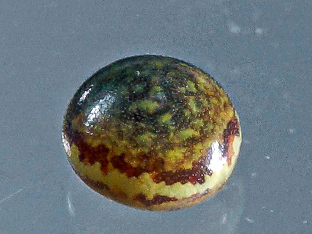 Bild Nr.08871 zum Vergrößern klicken Bild Nr.08871