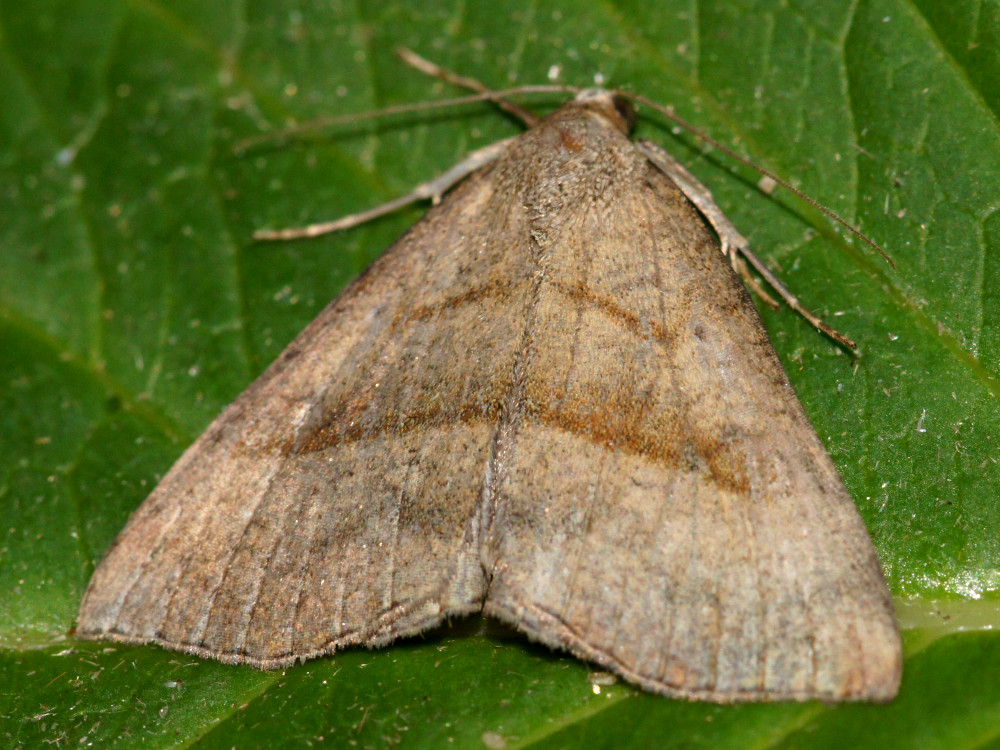 Bild Nr.08994 zum Vergrößern klicken Bild Nr.08994