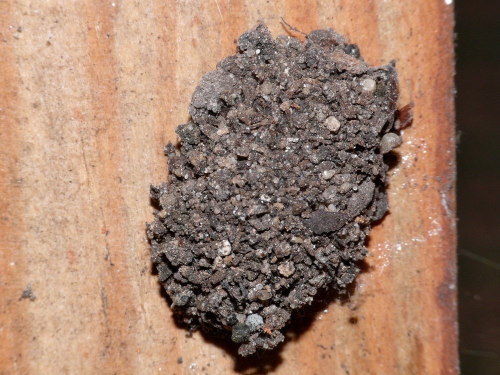 Bild Nr.09093 zum Vergrößern klicken Bild Nr.09093