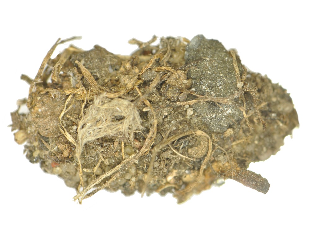 Bild Nr.09310 zum Vergrößern klicken Bild Nr.09310