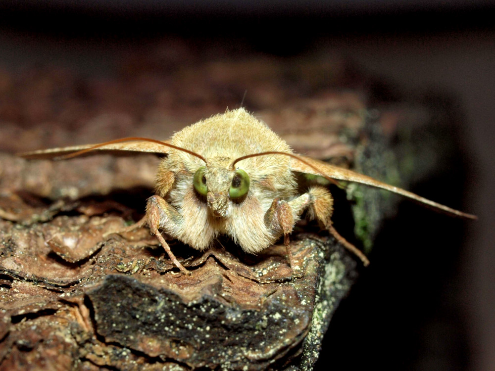 Bild Nr.09370 zum Vergrößern klicken Bild Nr.09370