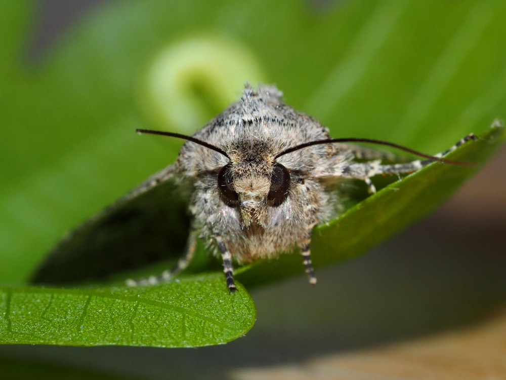 Bild Nr.09766 zum Vergrößern klicken Bild Nr.09766