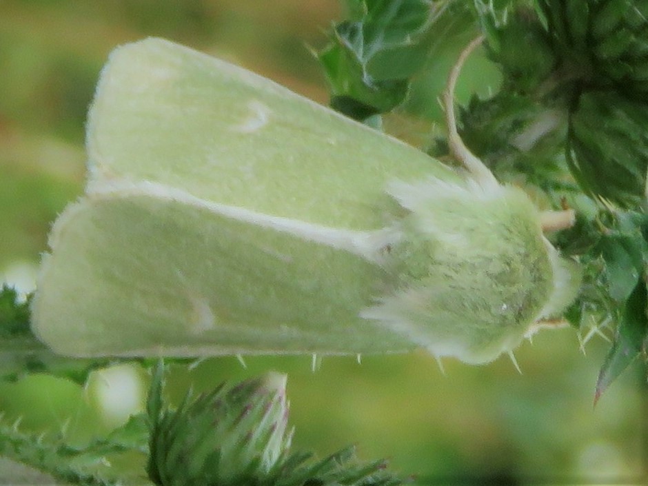 Bild Nr.09848 zum Vergrößern klicken Bild Nr.09848