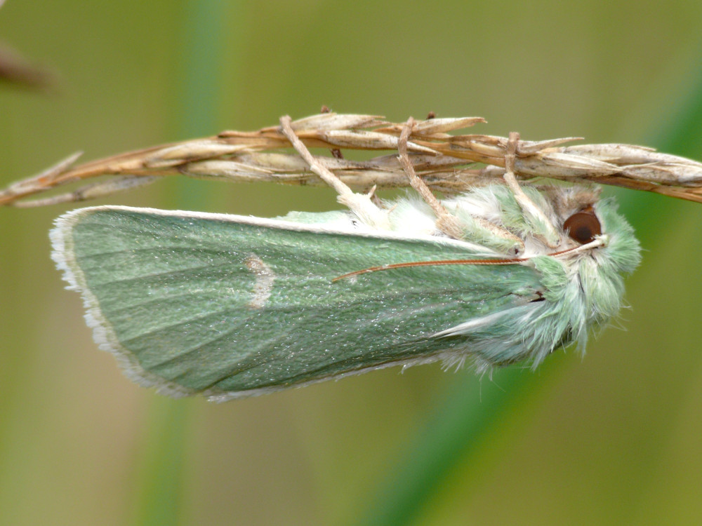 Bild Nr.09848 zum Vergrößern klicken Bild Nr.09848