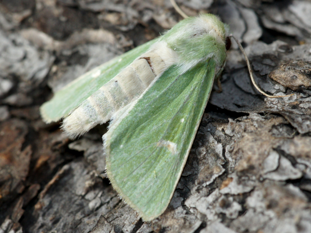 Bild Nr.09848 zum Vergrößern klicken Bild Nr.09848