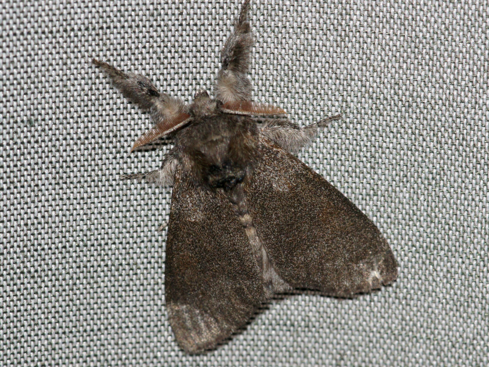 Bild Nr.10387 zum Vergrößern klicken Bild Nr.10387